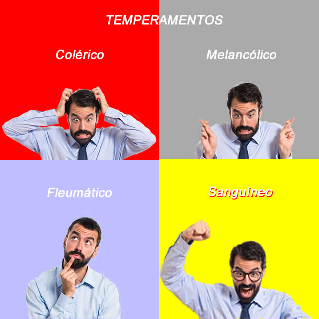 Conheça os 4 principais tipos de temperamentos